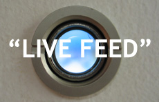 Live Feed