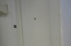 "Live Feed" | Washburne Gallery | Video Installation | 2007