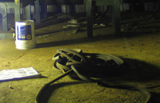 "The Night Shift" | Swisshome, Oregon | Site Specific Installation | 2007