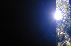 "The Night Shift" | Swisshome, Oregon | Site Specific Installation | 2007