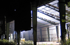 "The Night Shift" | Swisshome, Oregon | Site Specific Installation | 2007