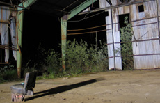 "The Night Shift" | Swisshome, Oregon | Site Specific Installation | 2007