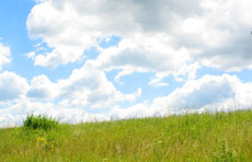 Countryside Hills, Poland