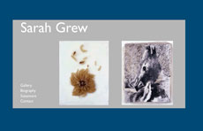 sarahgrew.com | Site Creation