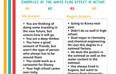 whiteflageffect.com | Site Creation